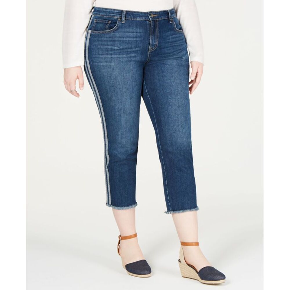 Style & Co Plus Size Side Striped Skinny Jeans
